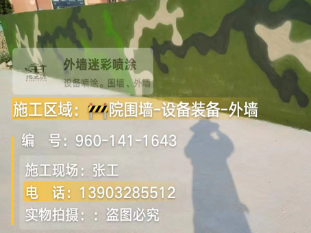 玉树 迷彩漆喷涂价格（按平方米计费）
